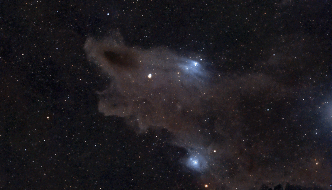 Dark_Shark_Nebula_crop