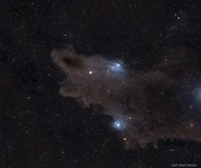 Dark_Shark_Nebula_crop