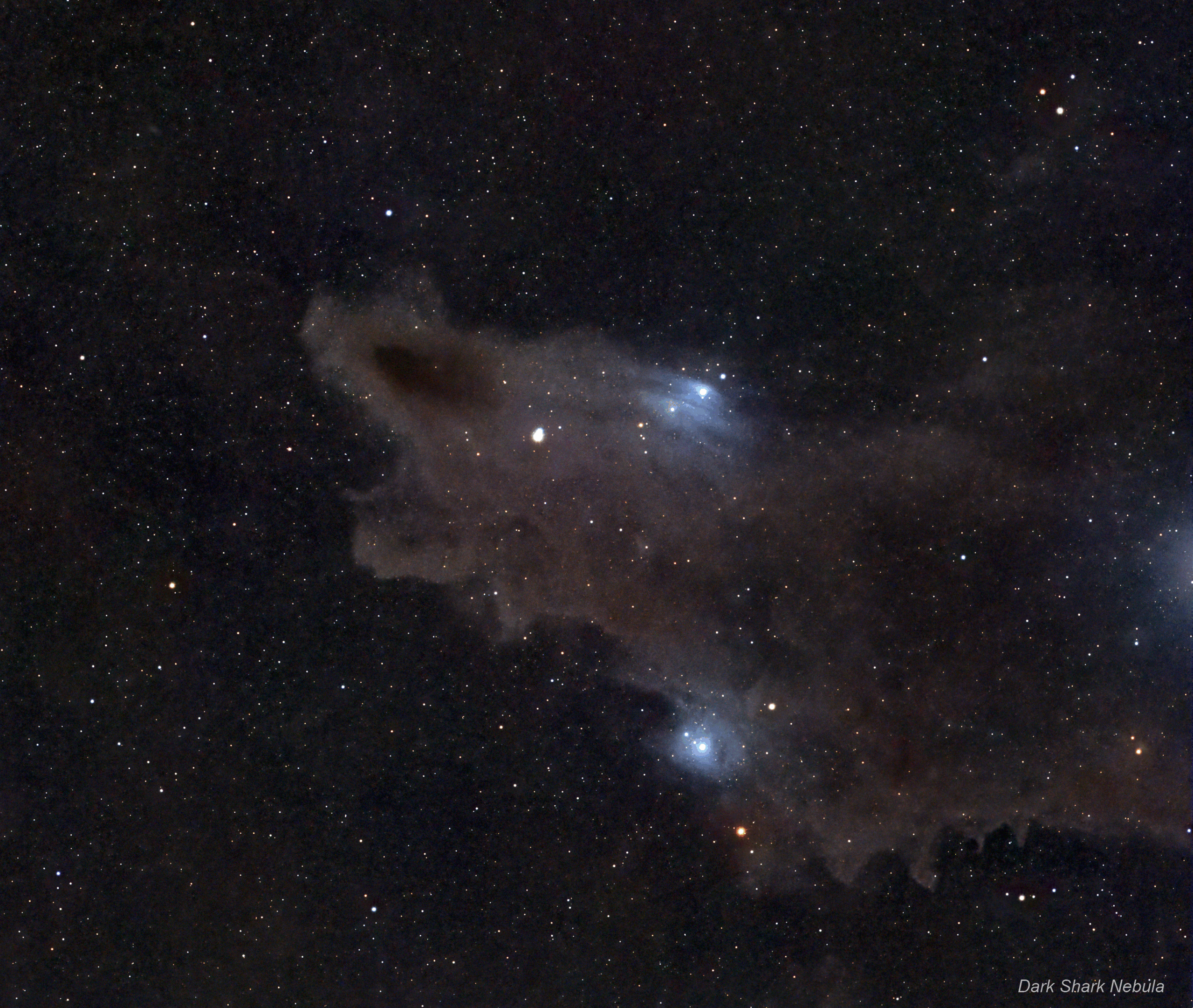 Dark_Shark_Nebula_crop