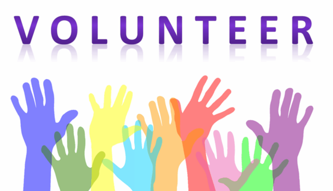 volunteer