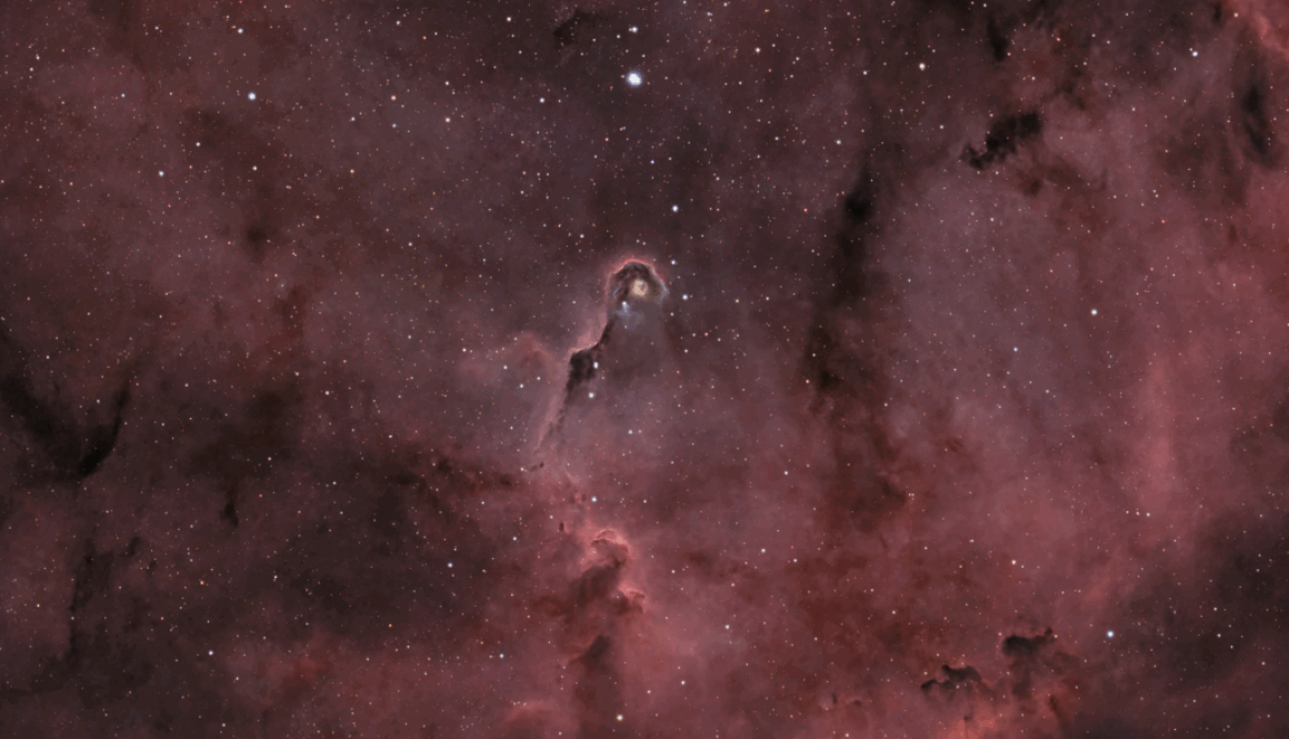 Copy of Elephant Trunk Nebula (IC 1396A)