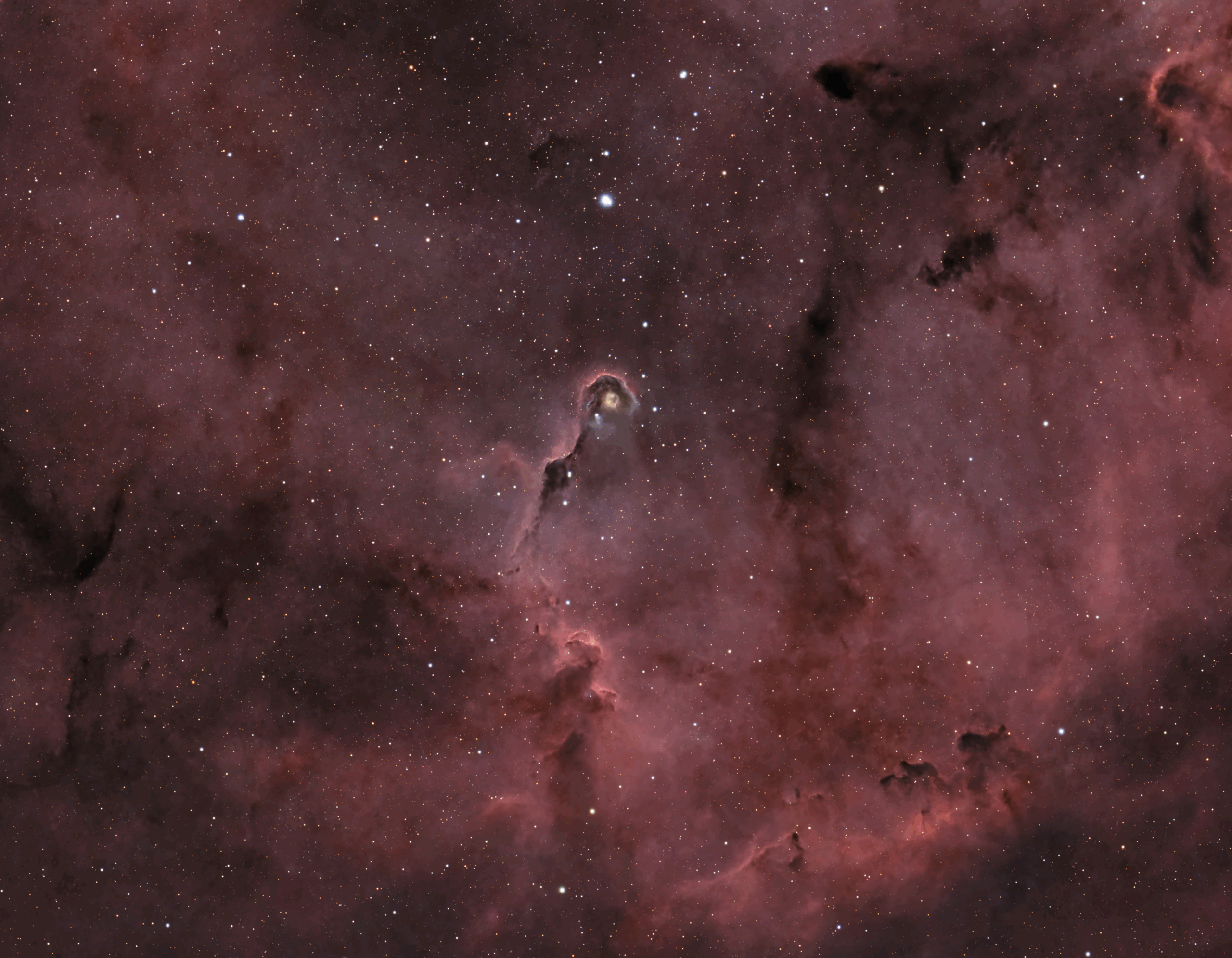 Copy of Elephant Trunk Nebula (IC 1396A)
