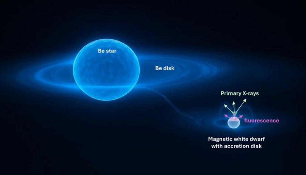 Low-Res_Gamma-Cas-Be-Star-Y.Naze-HIGH