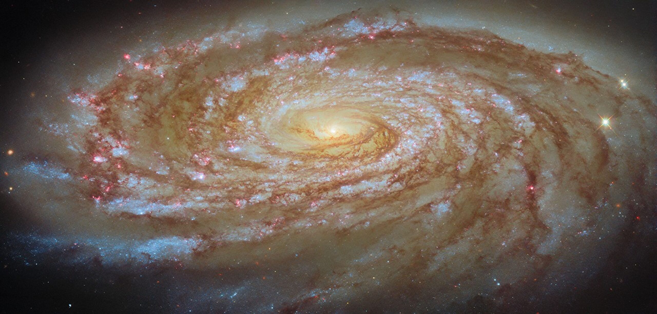 Hubble_M88_potm2605a