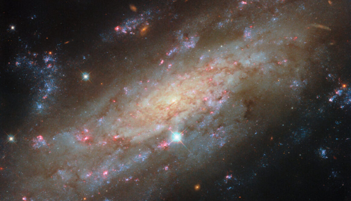 starry-spiral-in-a-fam