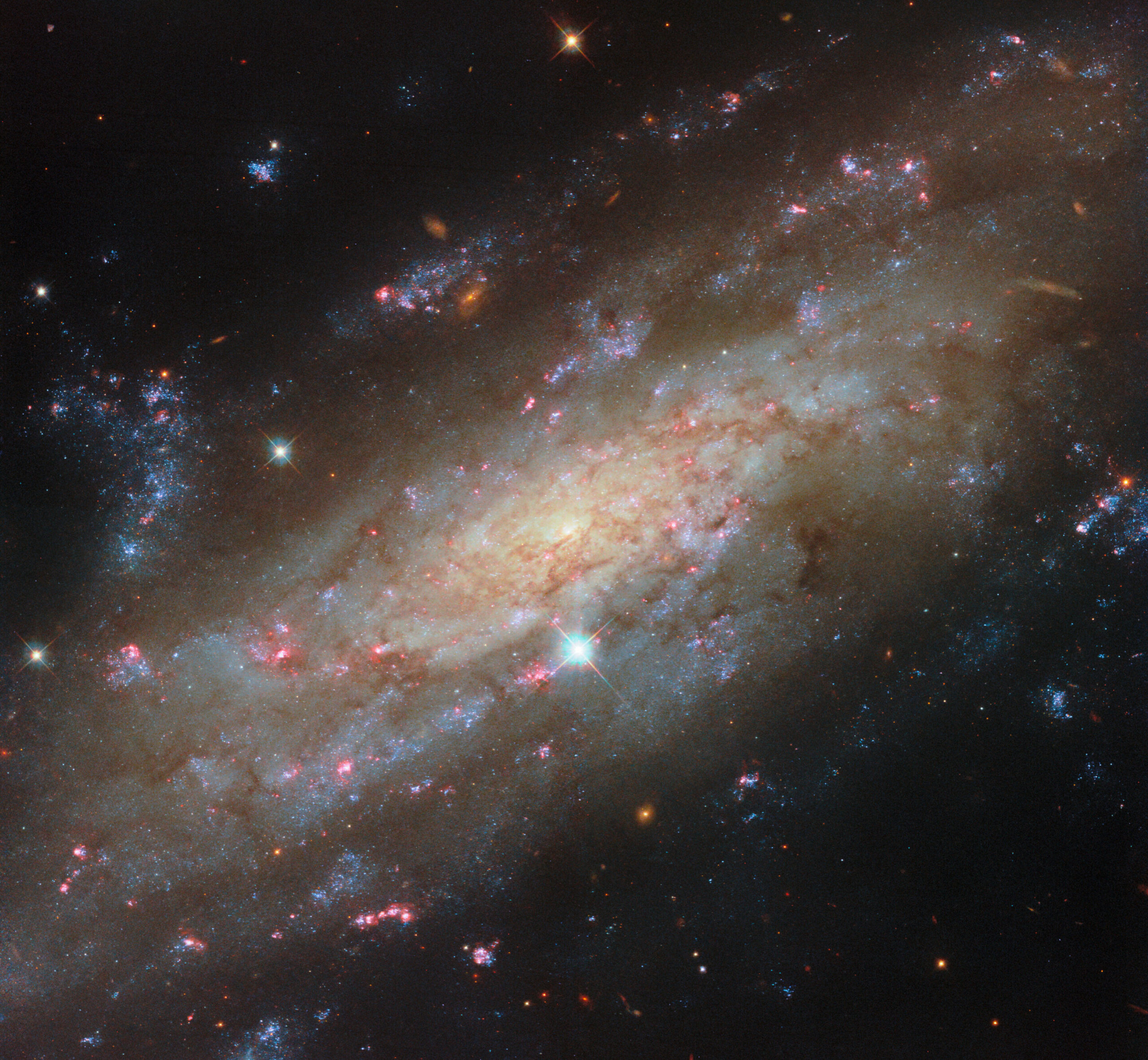 starry-spiral-in-a-fam
