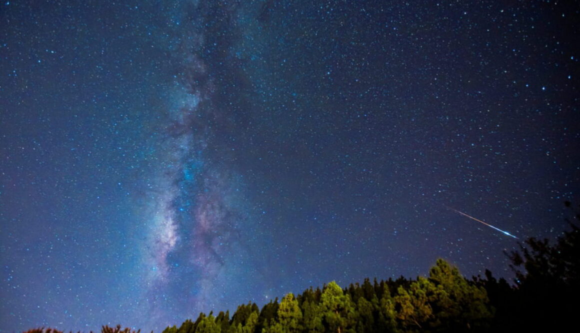 A meteor is photographed near the Milky Way during the annual Perseid meteor shower in Pico de las Nieves
