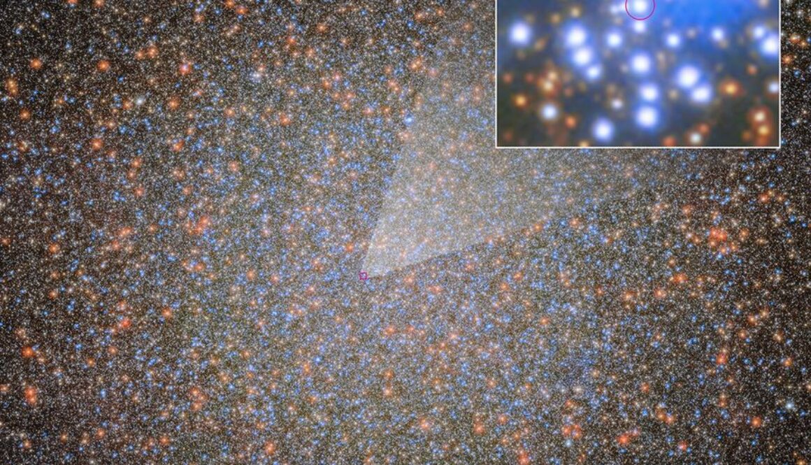 STScI-01KW2HRNXWCFJ07B2CEN49KTFP-hubble