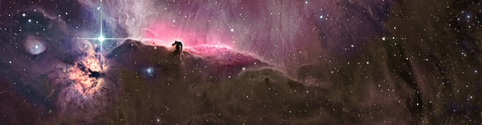 ASIG banner cropped-horsehead
