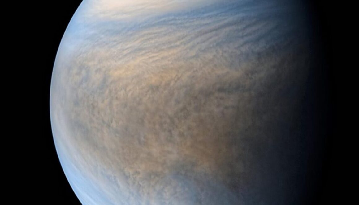 Gibbous-Venus-from-Akatsuki